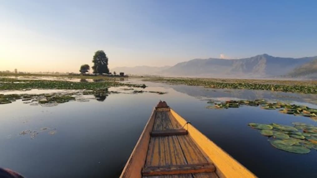 Srinagar Char Chinar_3